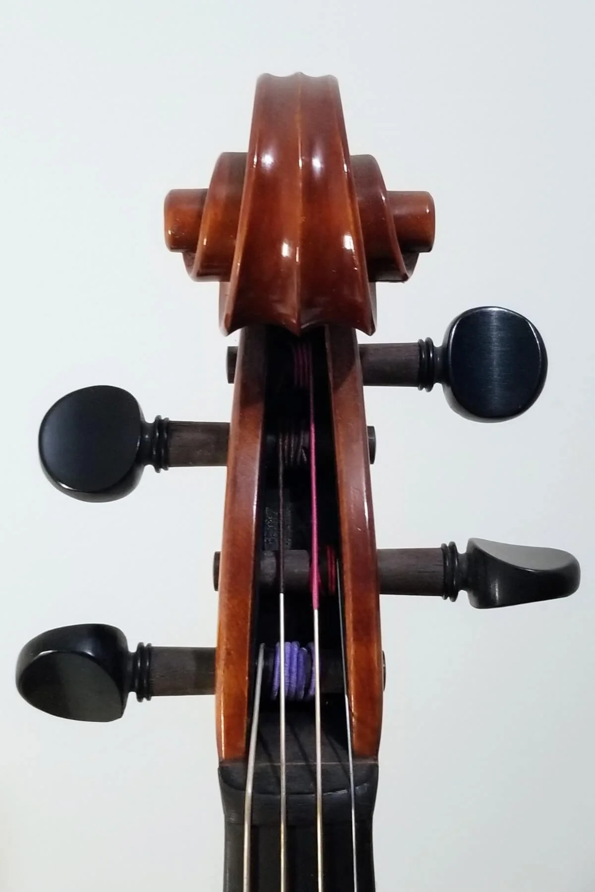 A 15 3/4 Romanian Viola by Cristiano Ciota, anno 2015 - pegbox view