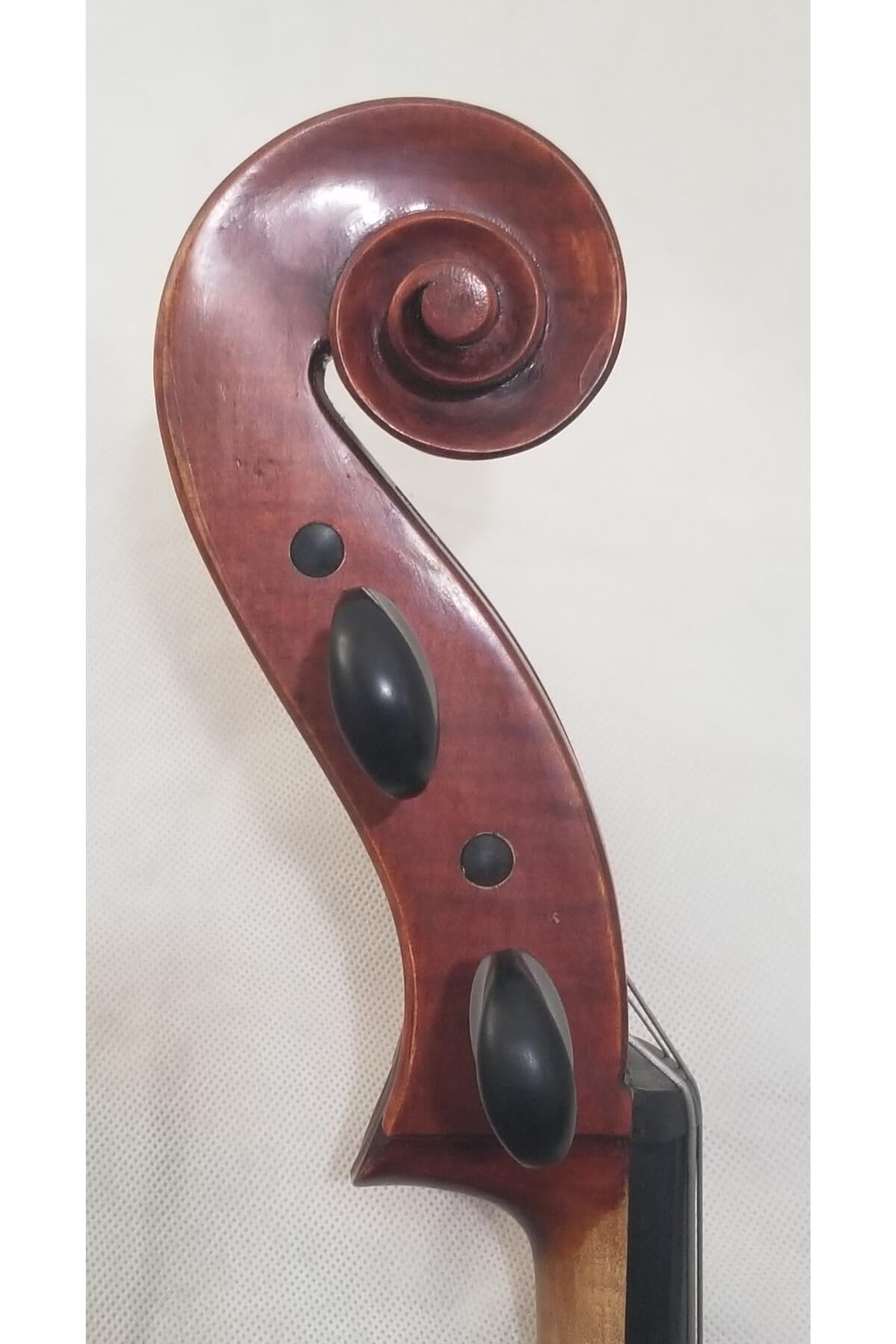 The scroll of an Ivan Dudanov cello from 2023.