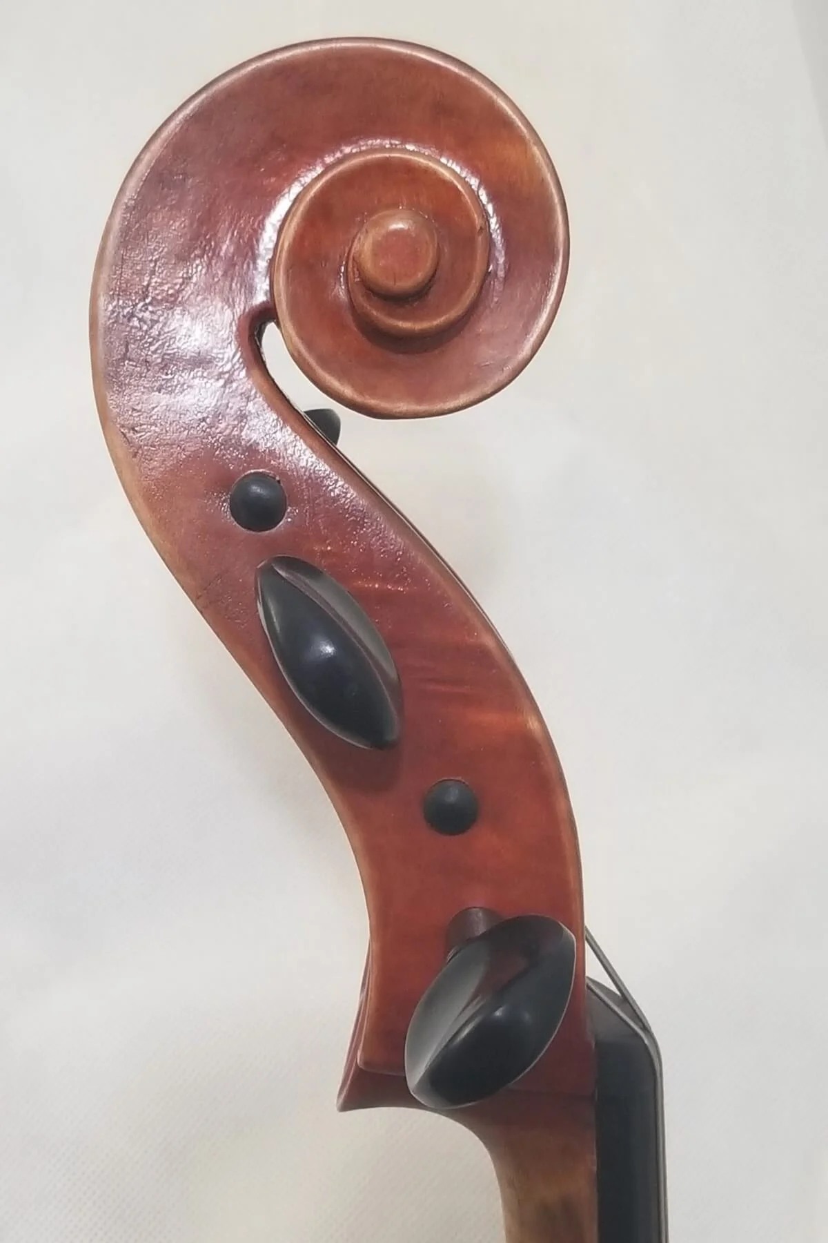 Workshop of ORFEO Strings, 2021 cello for sale in Boston, MA.