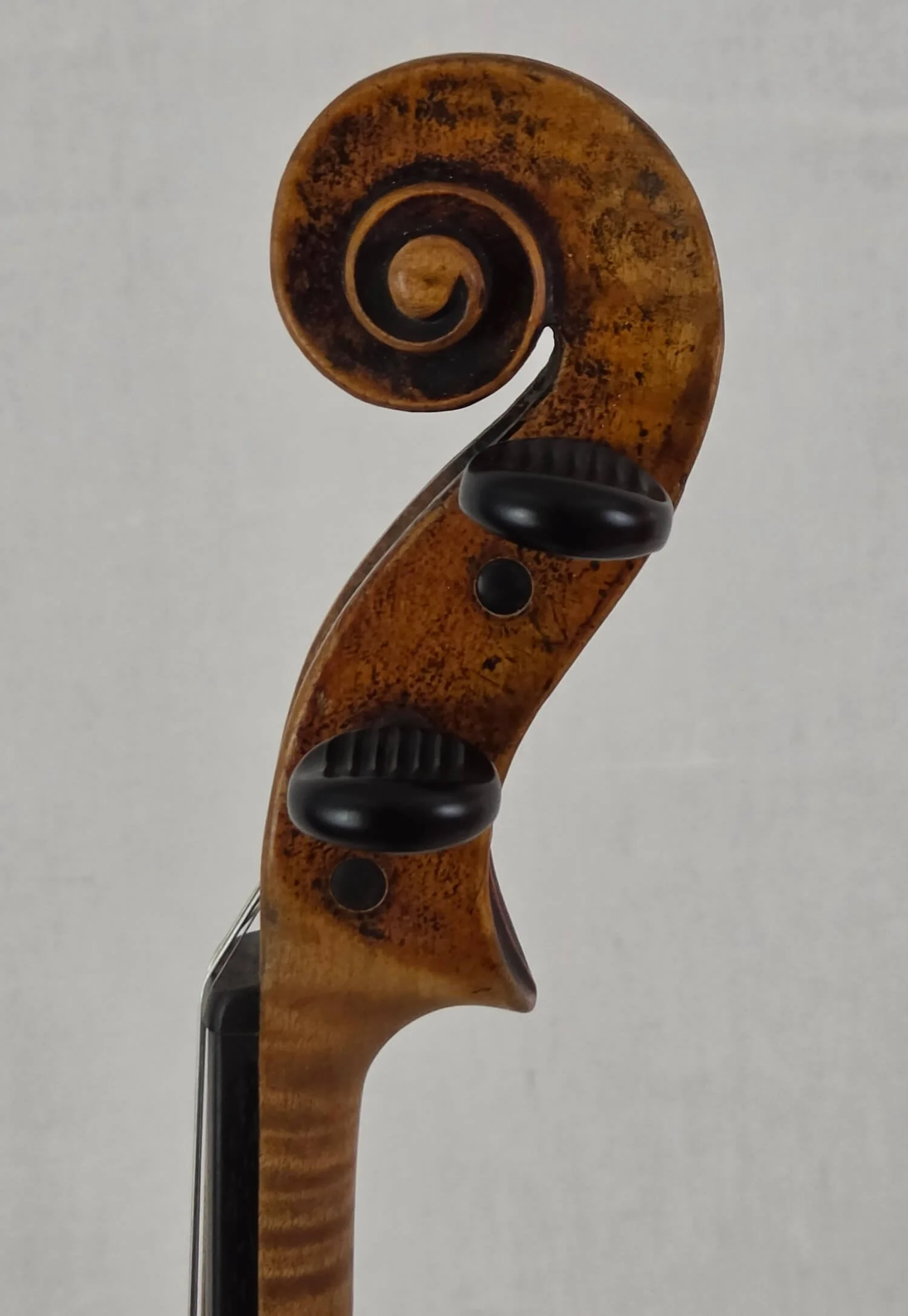Scroll of a Louis Lowendall violin made in Germany in 1883.