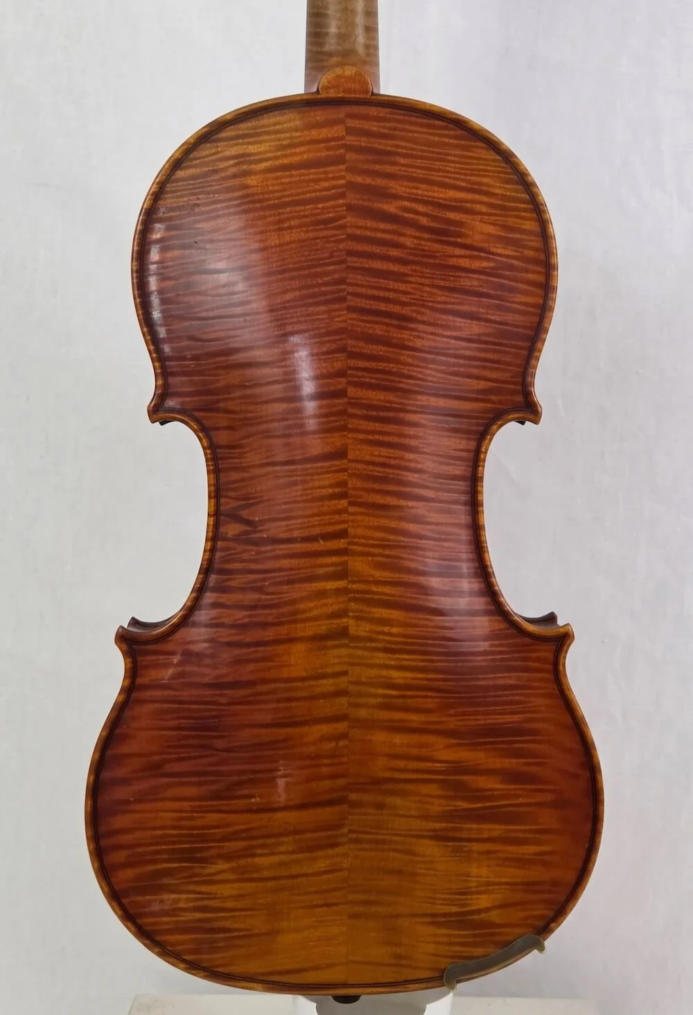 Back view of violin by Albert Knorr, Markneukirchen 1927.