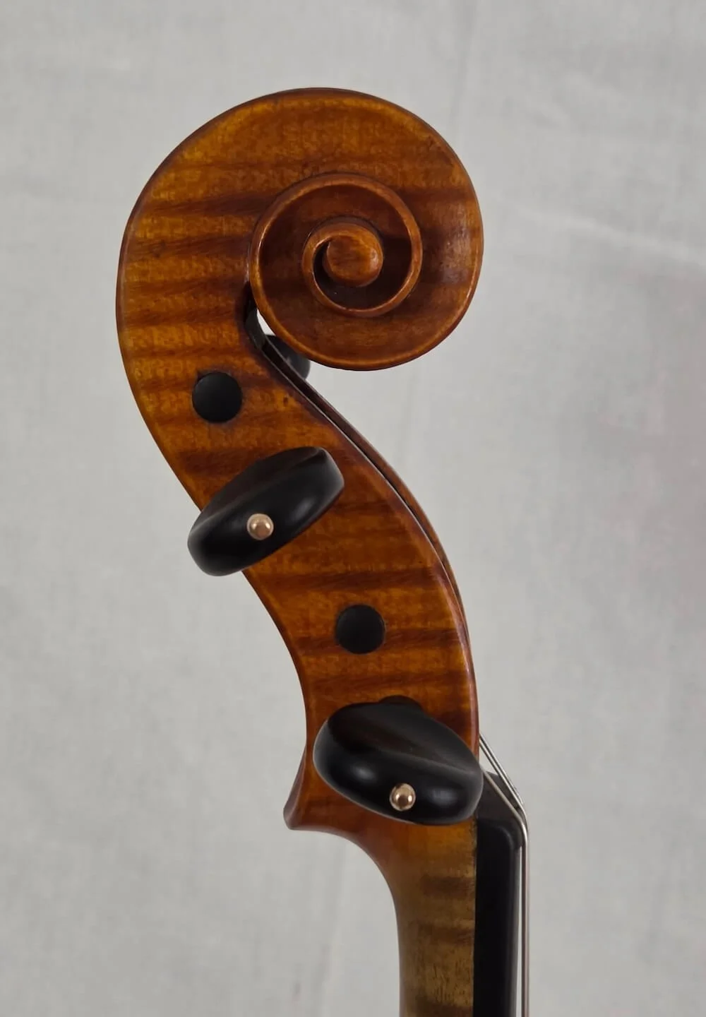 Scroll of violin by Albert Knorr made in Markneukirchen in 1927.