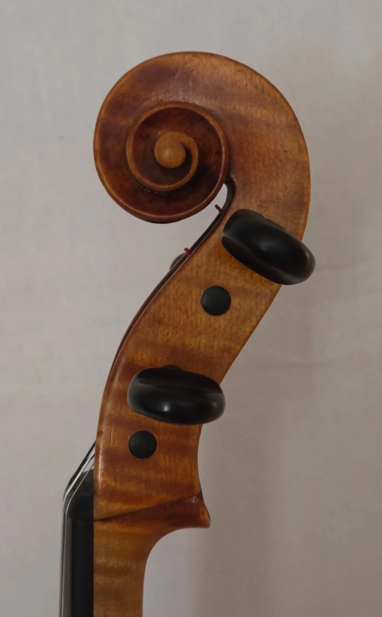 Scroll of viola by E.H. Roth made in Markneukirchen 1937.