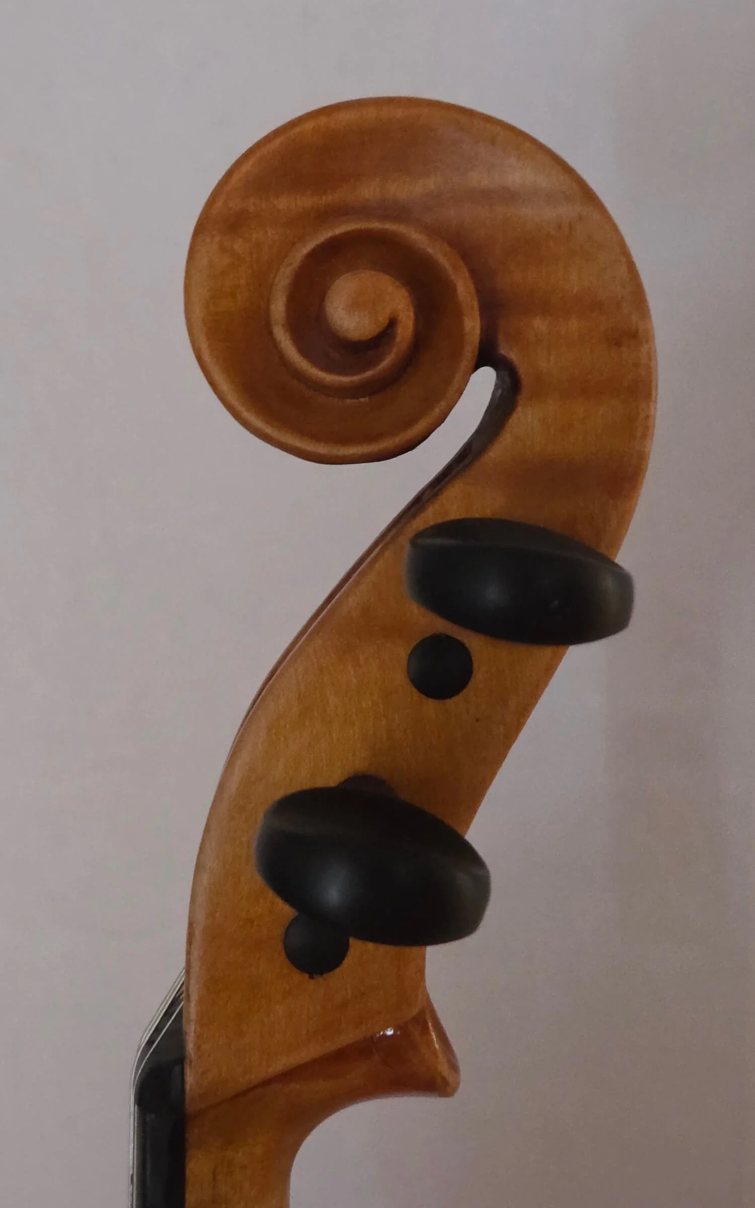 Scroll of viola made by Carl Roy in Mittenwald in 1959.