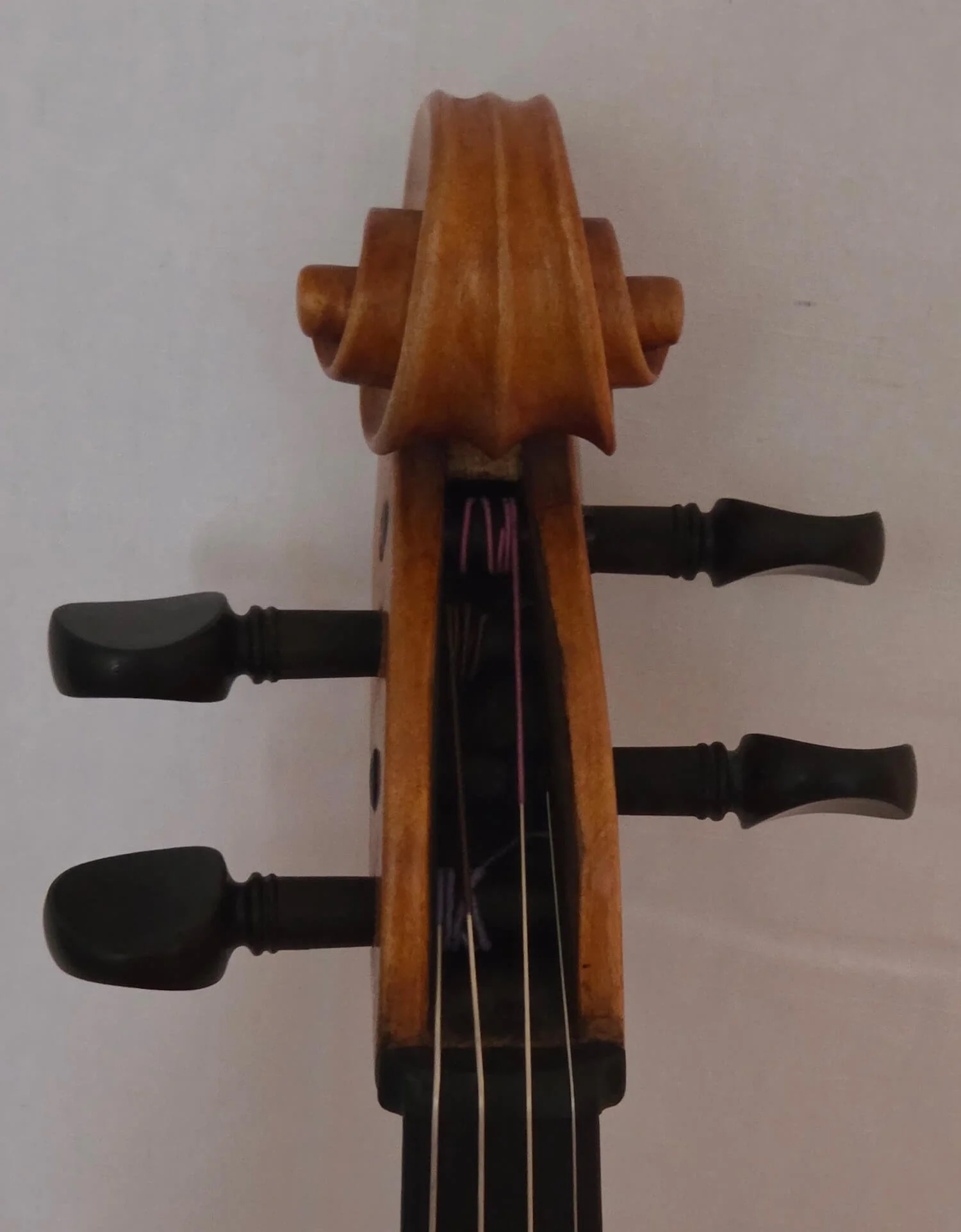 Pegs of viola made by Carl Roy in Mittenwald in 1959.