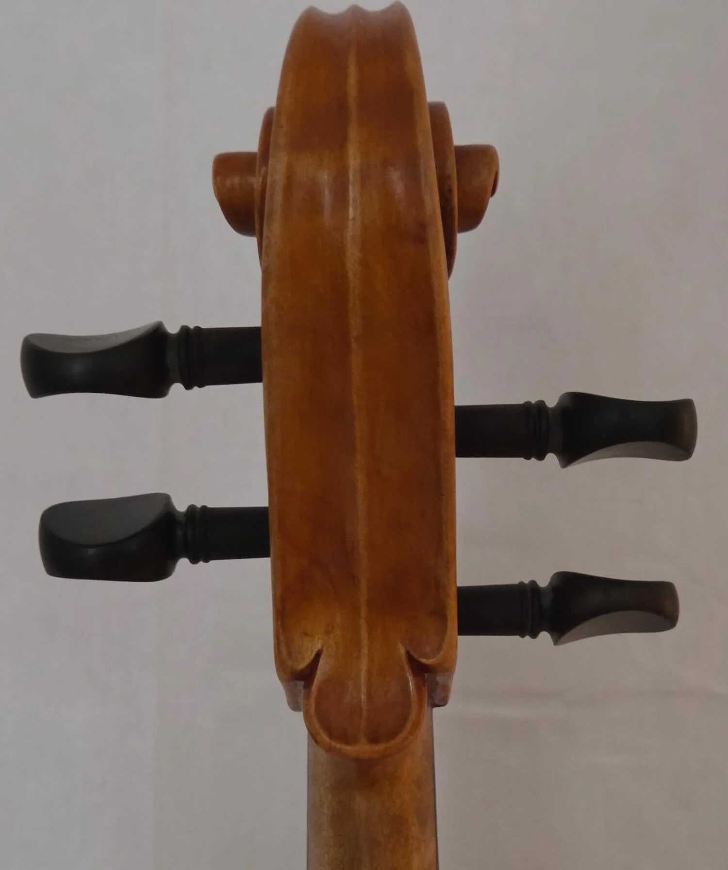Alternate peg view of viola made by Carl Roy in Mittenwald in 1959.