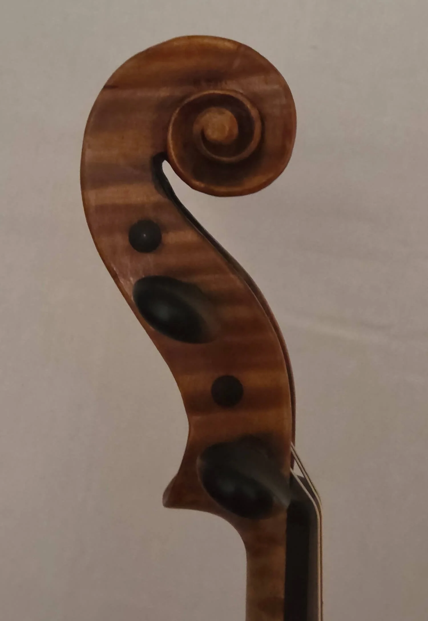 Scroll of the Czech "Gamnitzer" Viola from early 20th century.