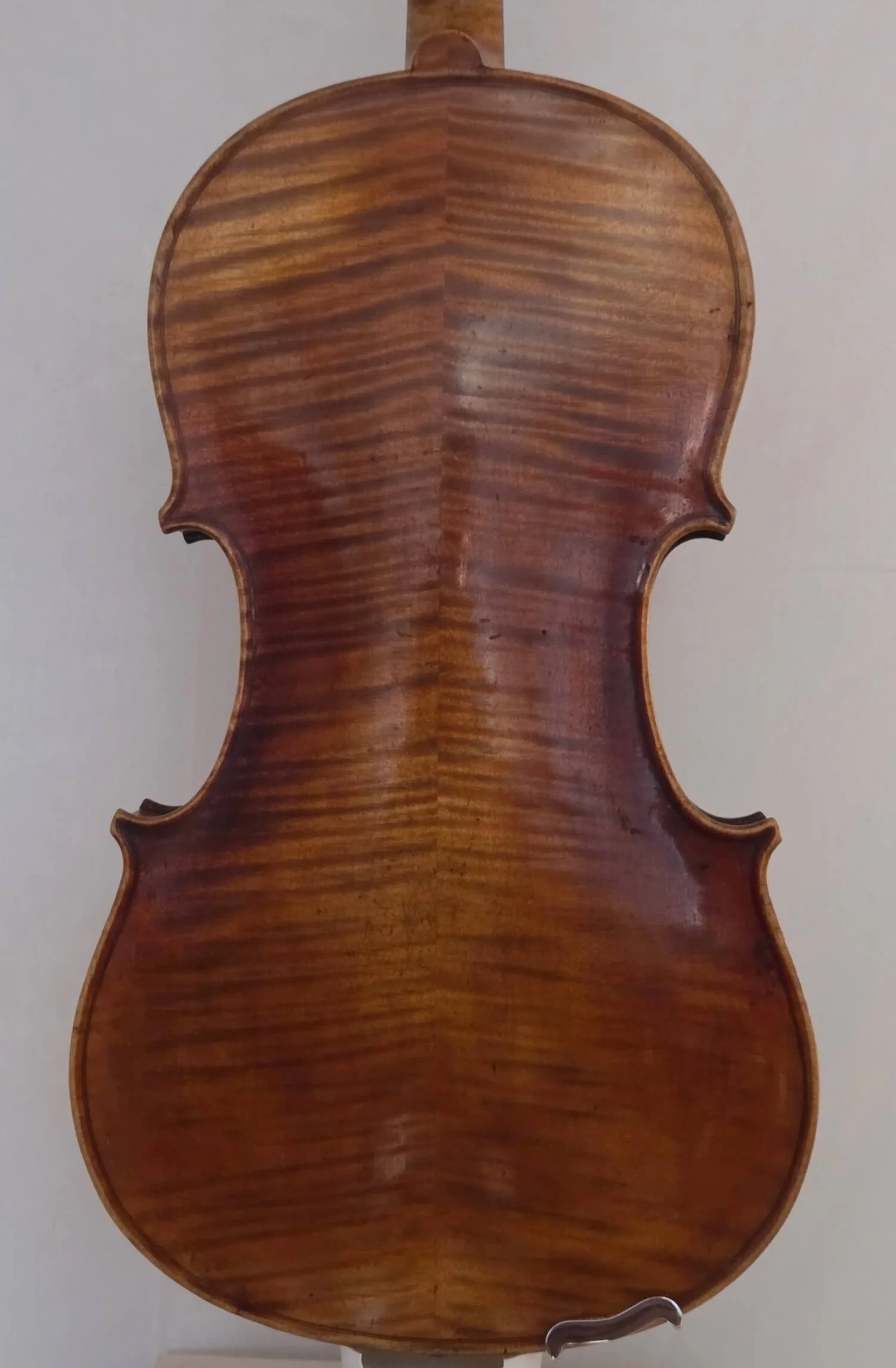 Back view of the 15 1/4" Viola by Czech "Gamnitzer" in the early 20th century.