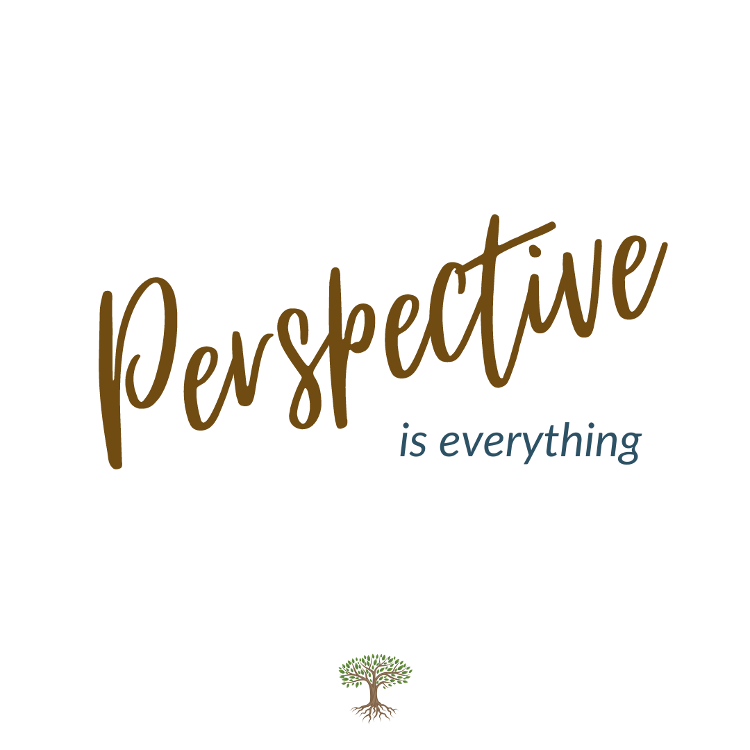 Why You Need Big Picture Perspective in Business – and how to get it in 4 Simple Steps