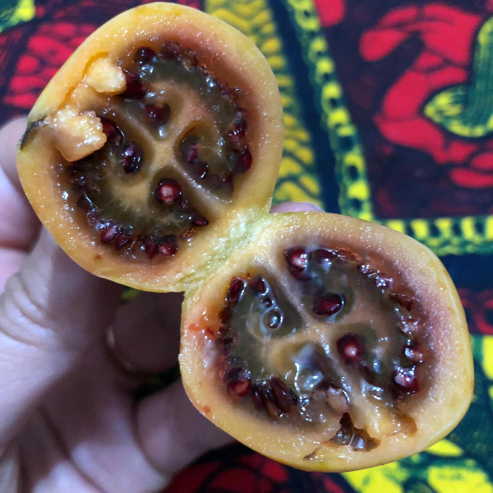 Tree Tomatoes :-) Super lecker