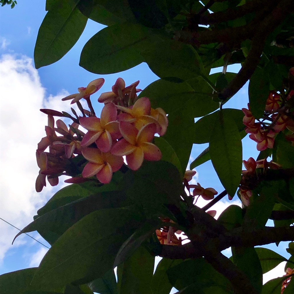 Die Arbeit als Social Worker