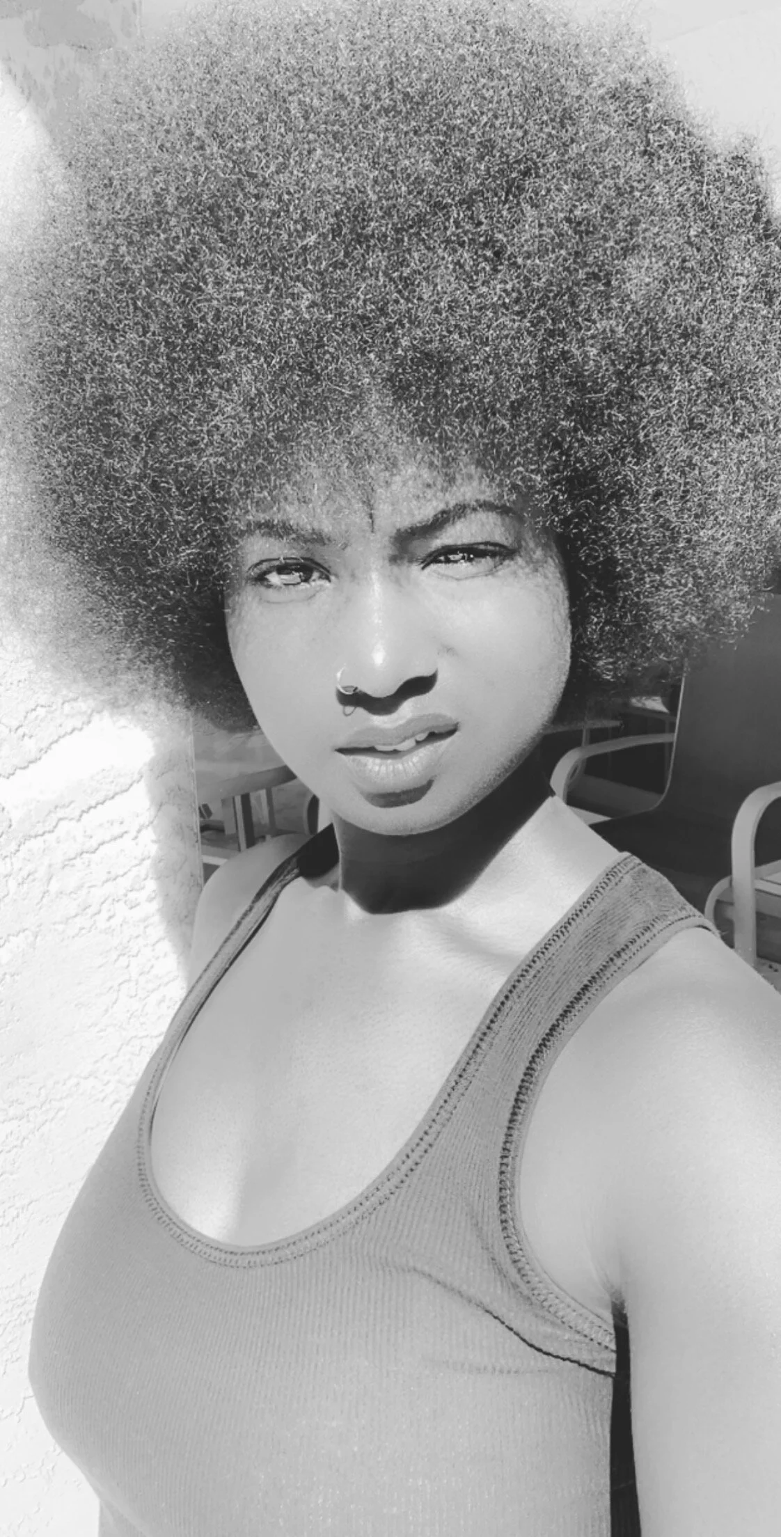 The Rage of a Thousand Angry Birds