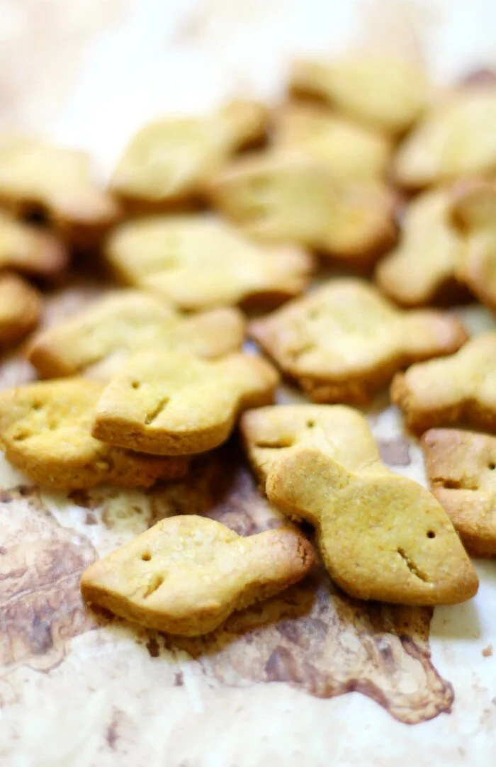 DIY Gluten-Free Goldfish