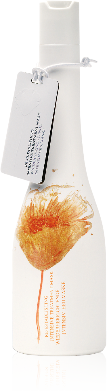 S26_Wiederherrichtende Heilmaske_RGB.png