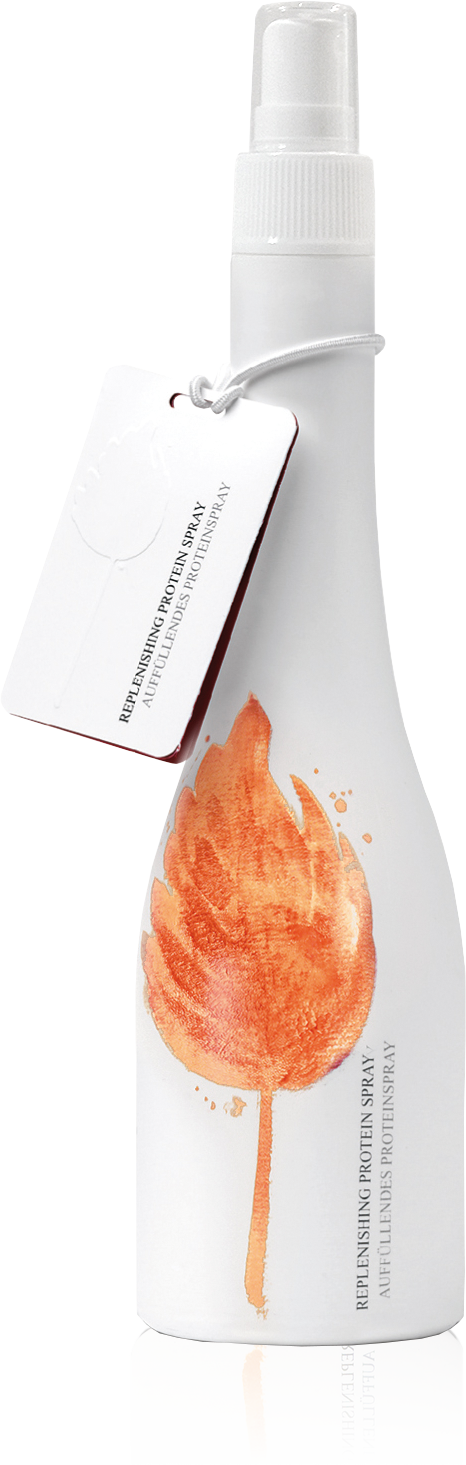 S36_Auffallendes Proteinspray_RGB.png