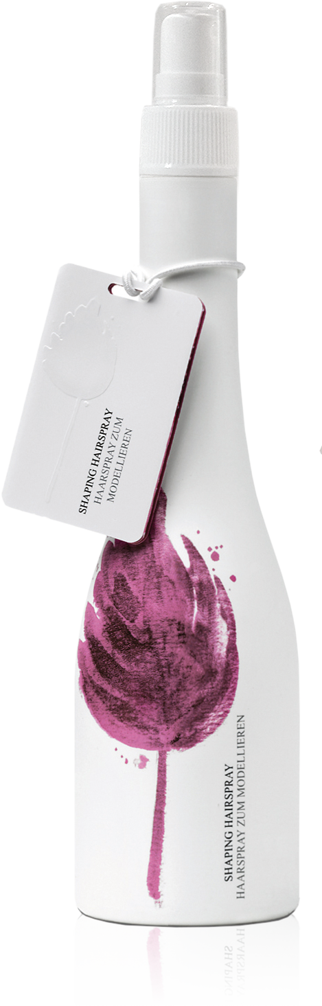 S38_Haarspray zum Modellieren_RGB.png