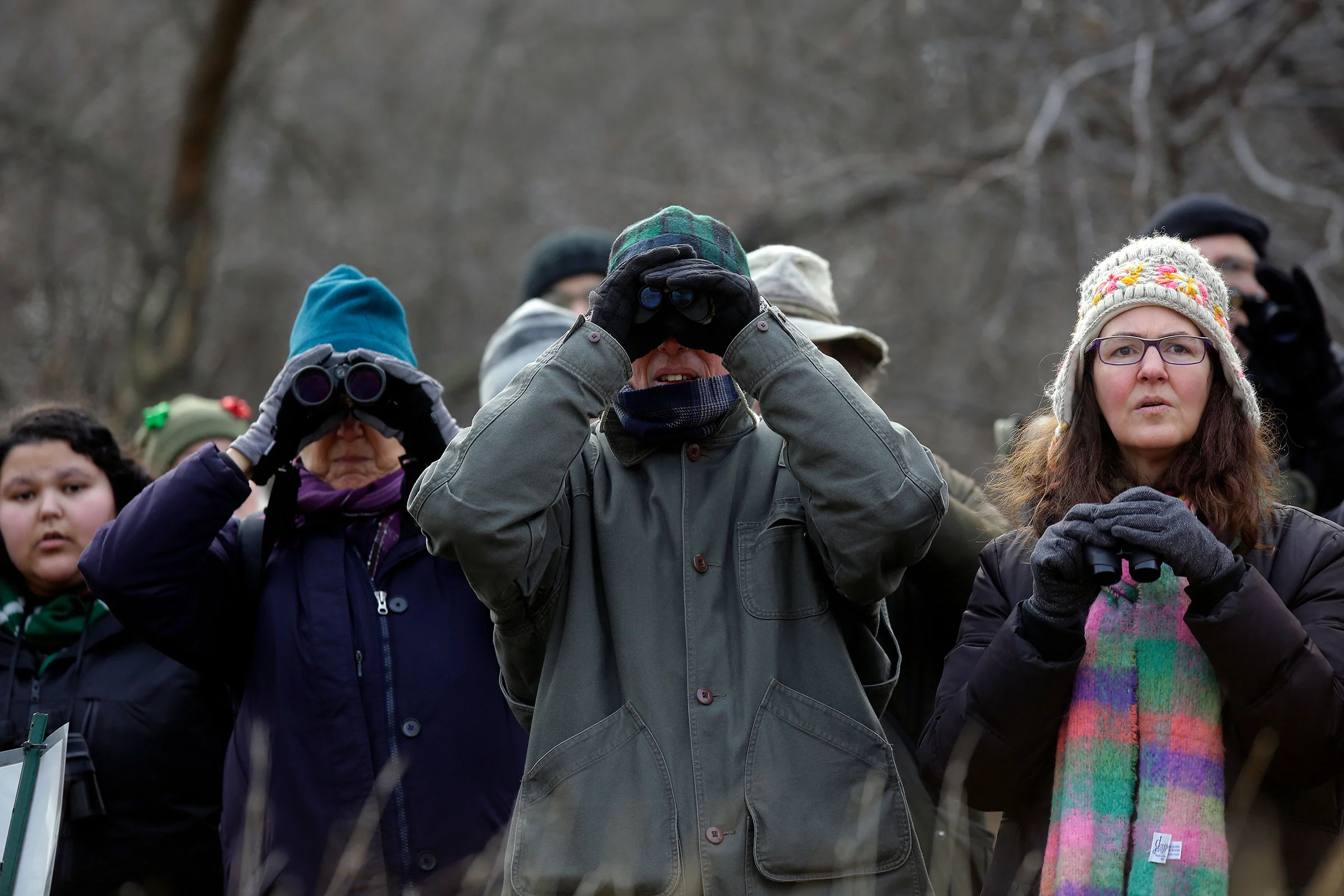 Wooded Island Bird Walk