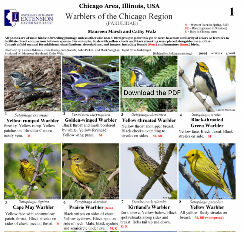 Chicago Birding Resources — Chicago Bird Alliance