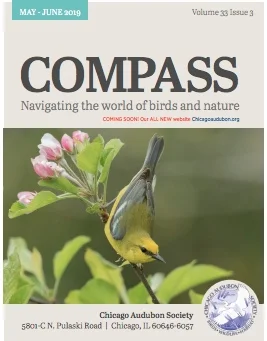Compass Newsletter,  May - June 2019