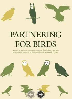 partneringforbirdscover.jpeg