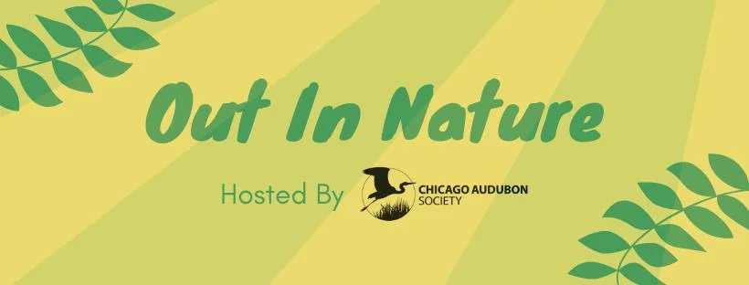 Out In Nature - lgbtq + Nature Meetup
