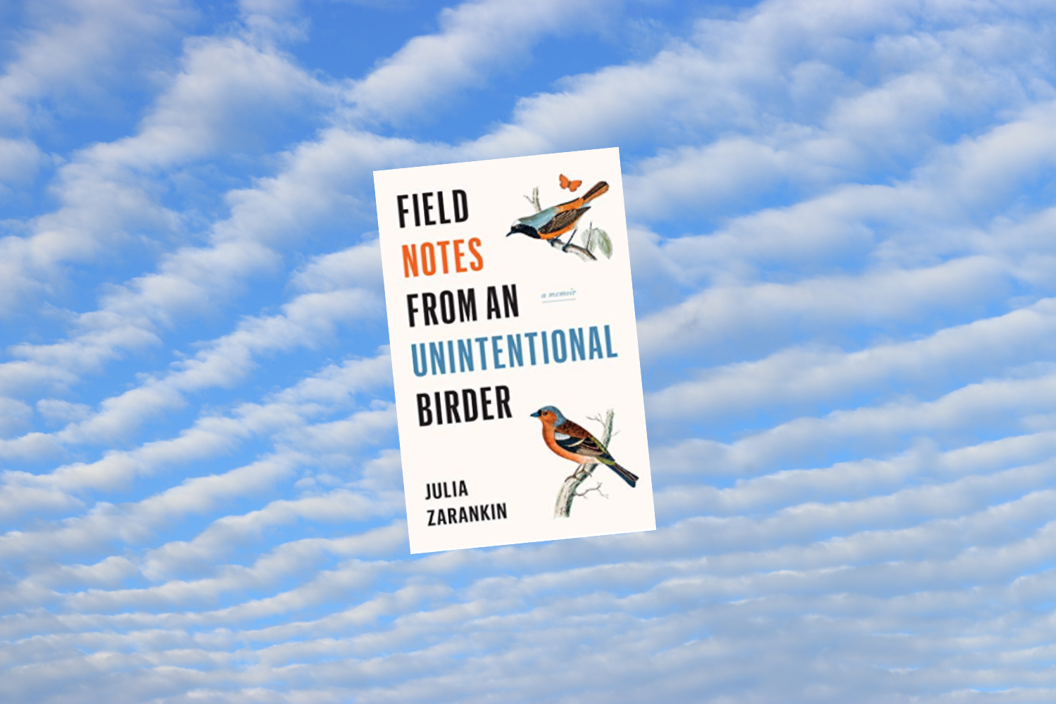 Chasing and Misidentifying Birds - Review of Field Notes of an ...