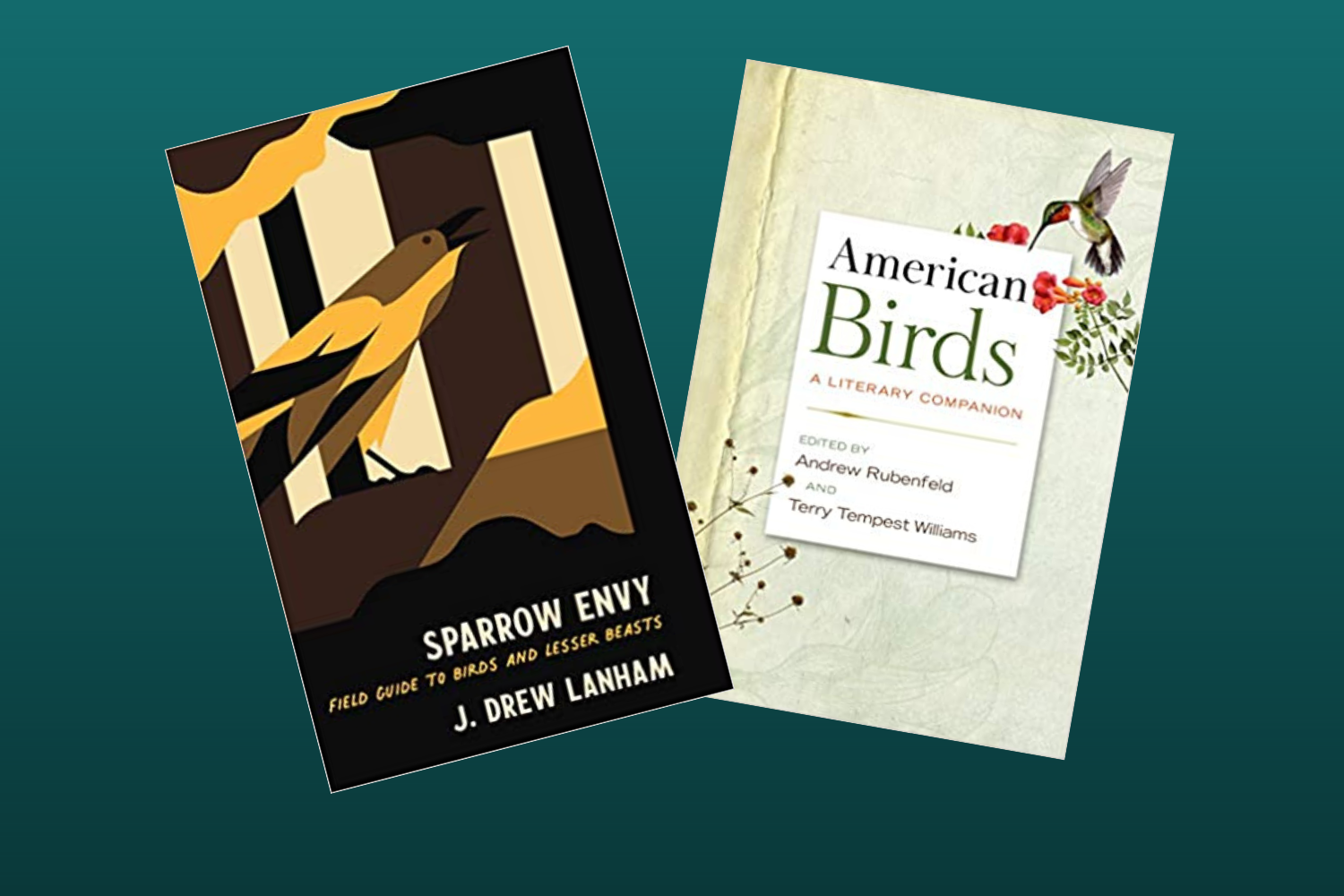 Speaking Of Nature Review Of J Drew Lanham s Sparrow Envy A Field speaking-of-nature-review-of-j-drew-lanham-s-sparrow-envy-a-field