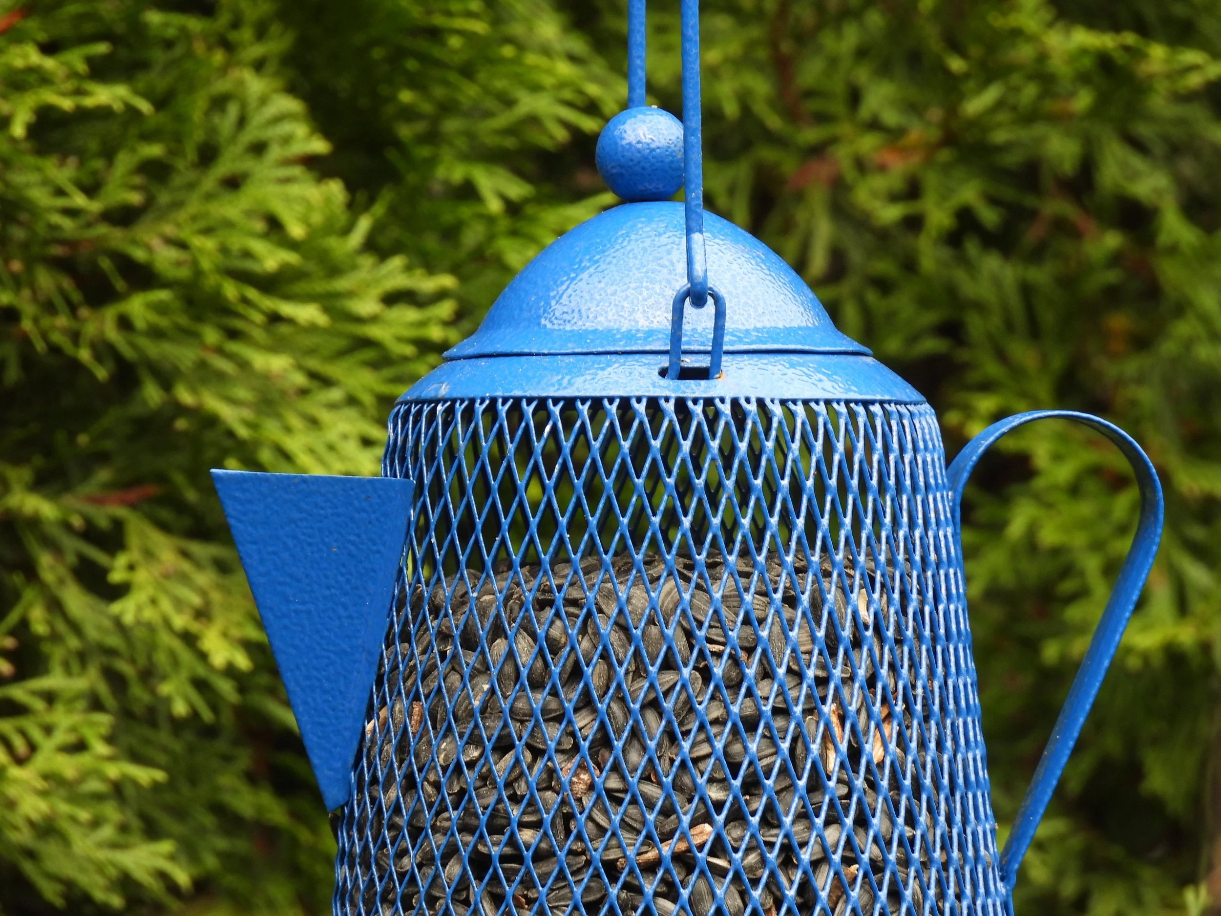 IDNR advises use of Backyard Feeders and Bird Baths may resume