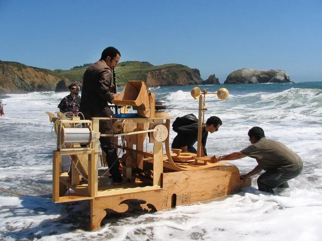 Feathers to Form: How Birds Have Shaped An Art Practice