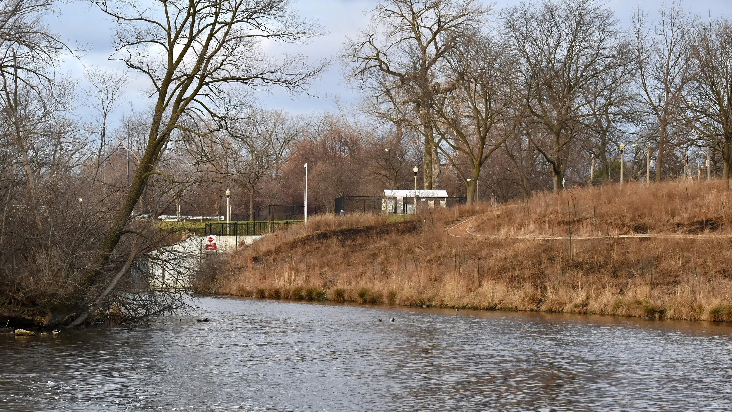 Help Restore Habitat for Birds at River Park