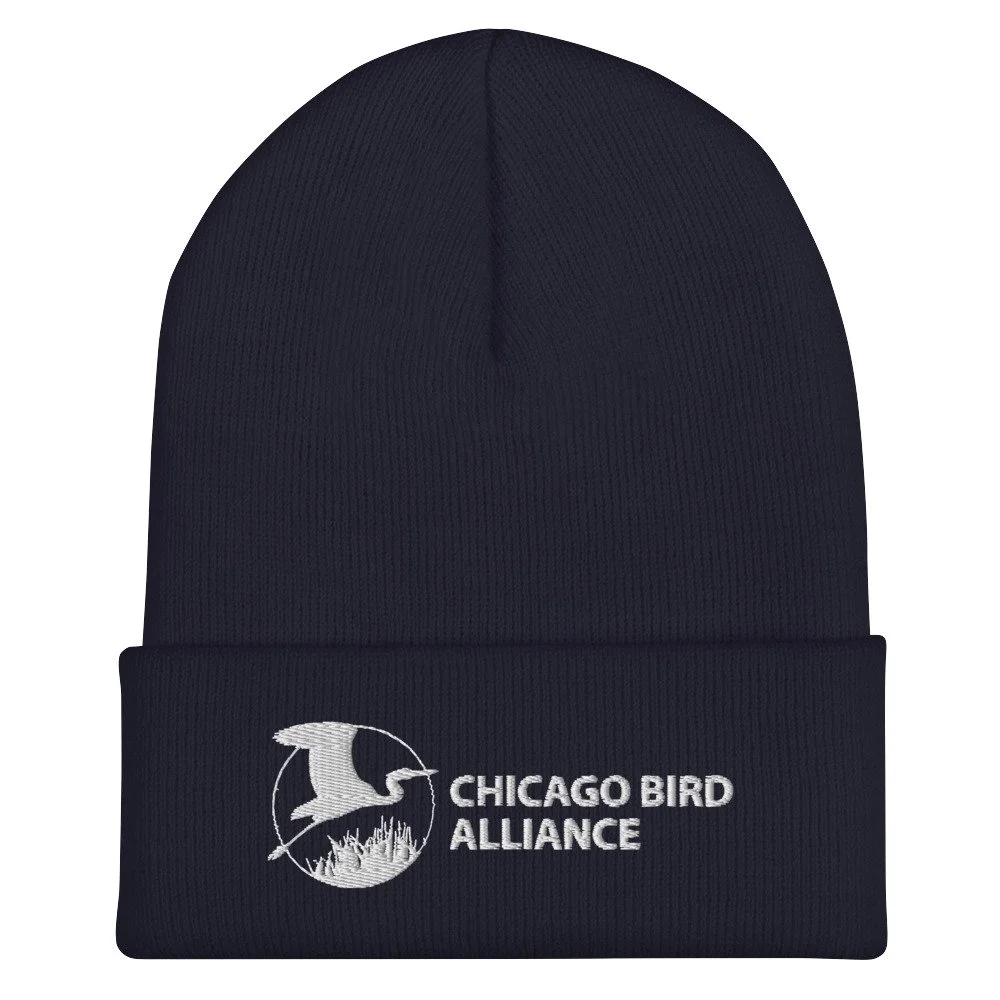 cuffed-beanie-navy-front-655e46d0b97de.jpg
