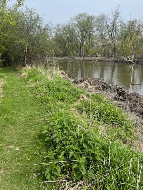 New!! Izaak Walton Workday