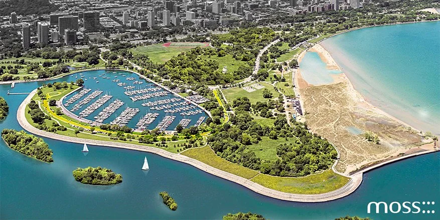Survey Results: DuSable Lakeshore Drive