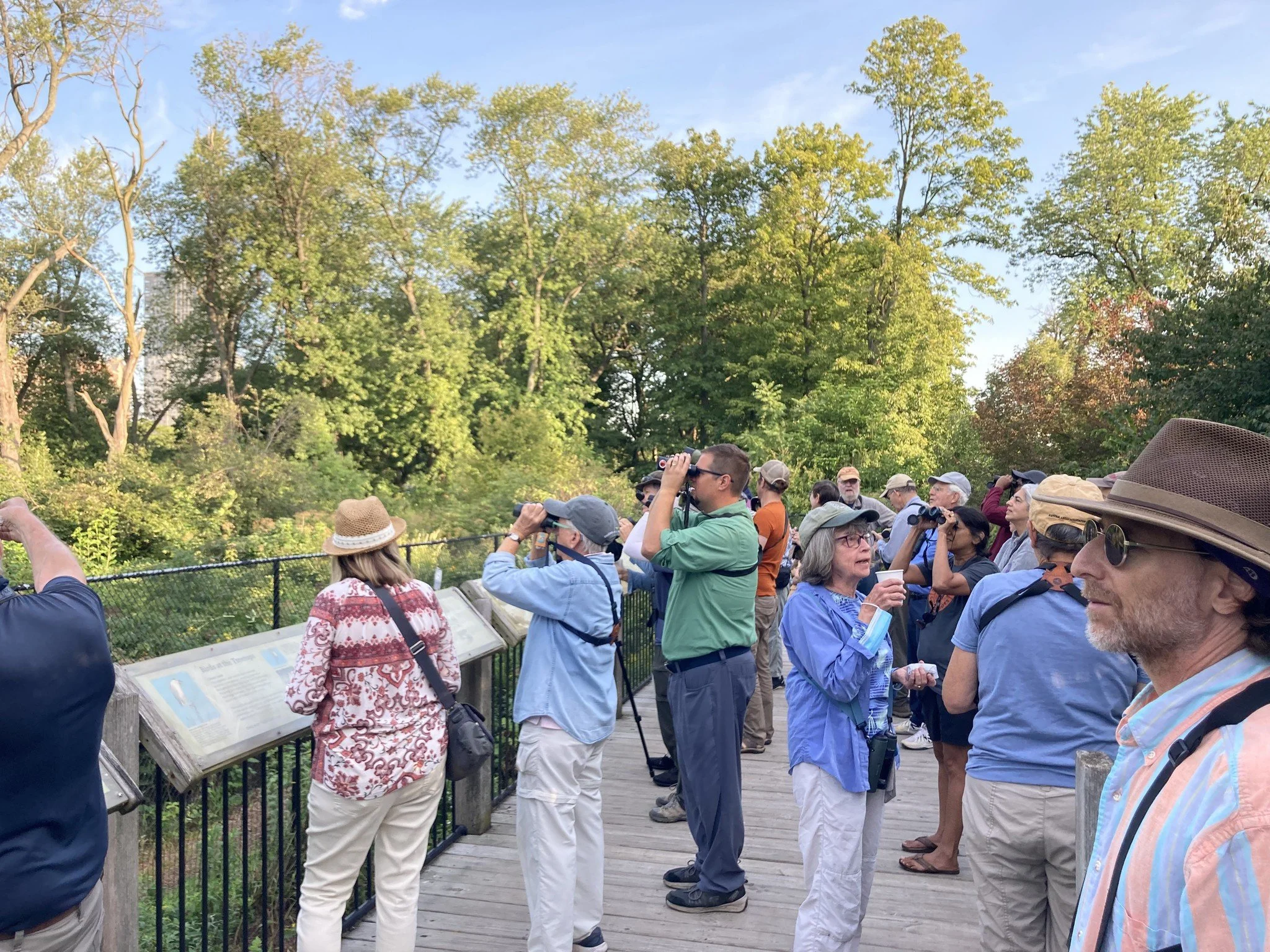 Birds & Coffee at Jarvis Bird Sanctuary