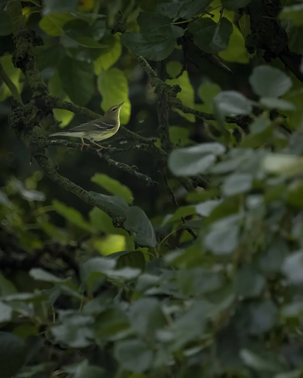 Photo by @jonny.becks