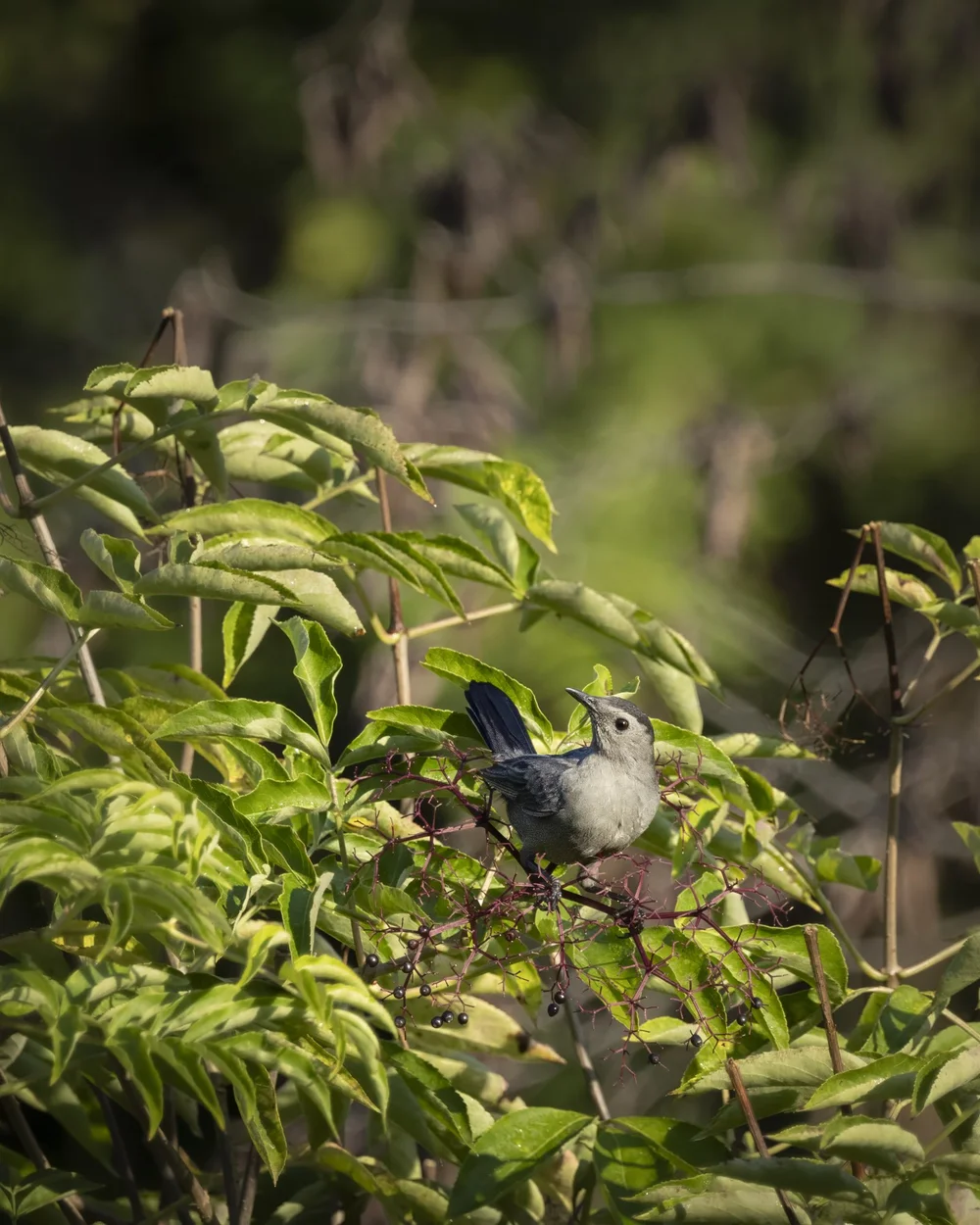 Photo by @jonny.becks