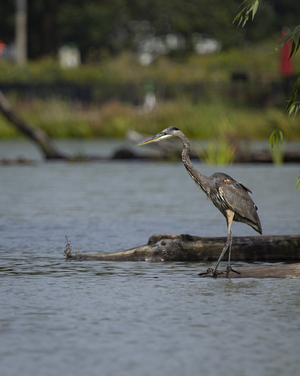 Photo by @jonny.becks