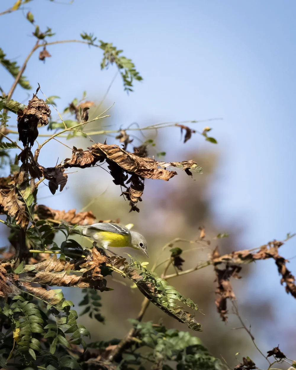 Photo by @jonny.becks