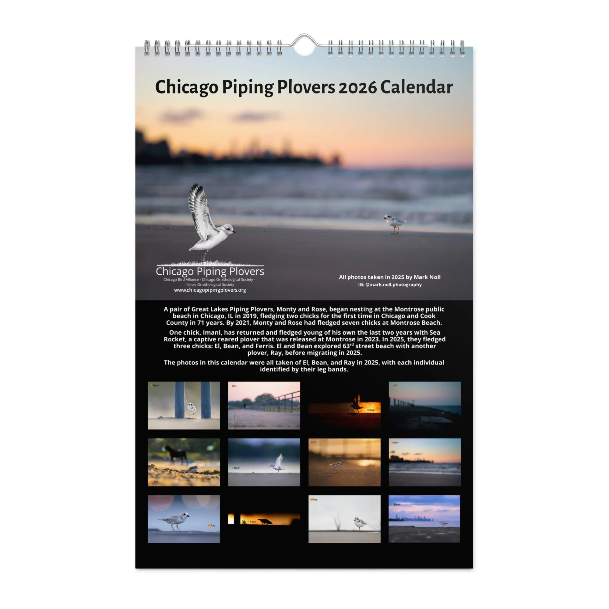 wall-calendar-(2026)-start-w-sun-11x17-front-69266d803d178.jpg