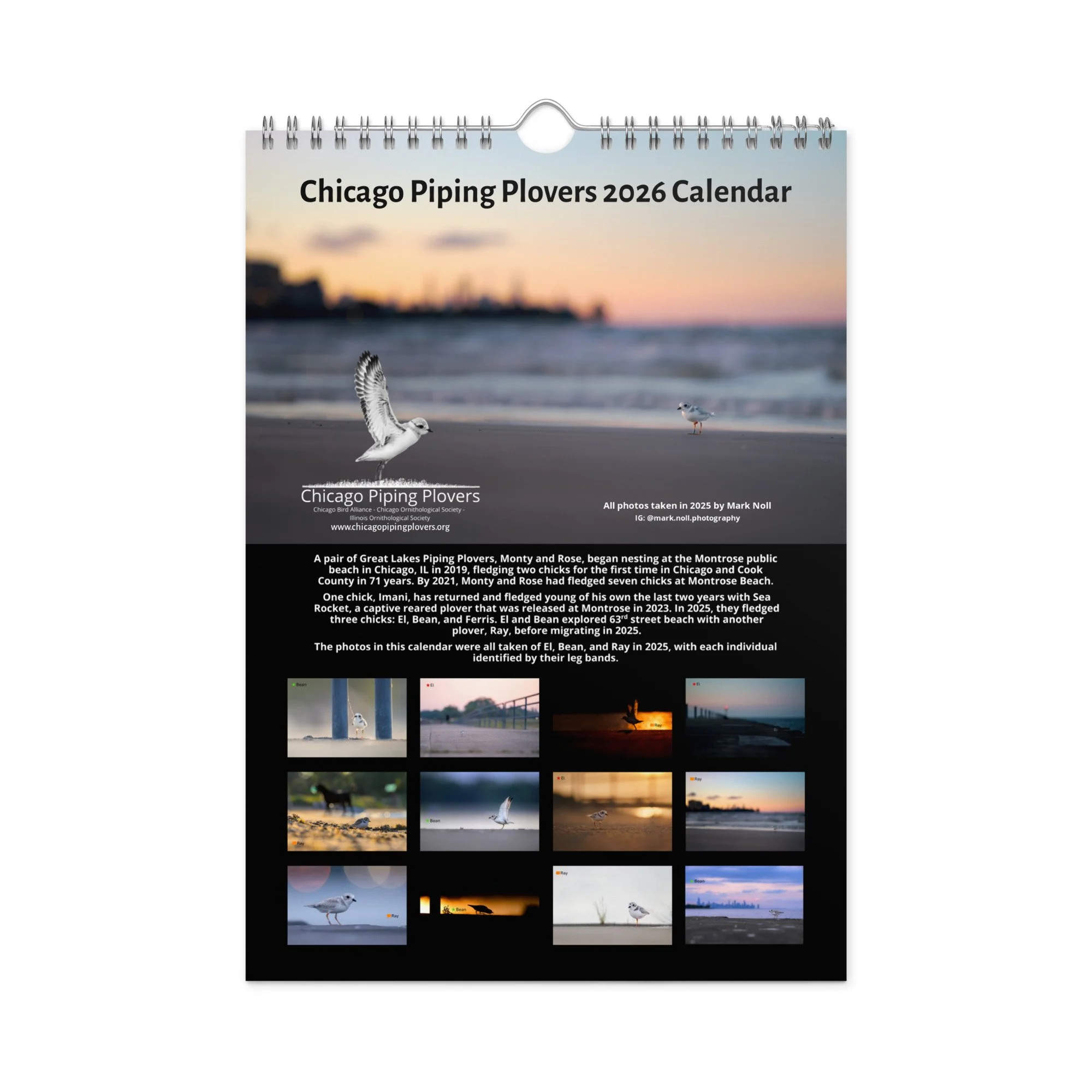 wall-calendar-(2026)-start-w-sun-8.26x11.69-front-69266d803e45a.jpg