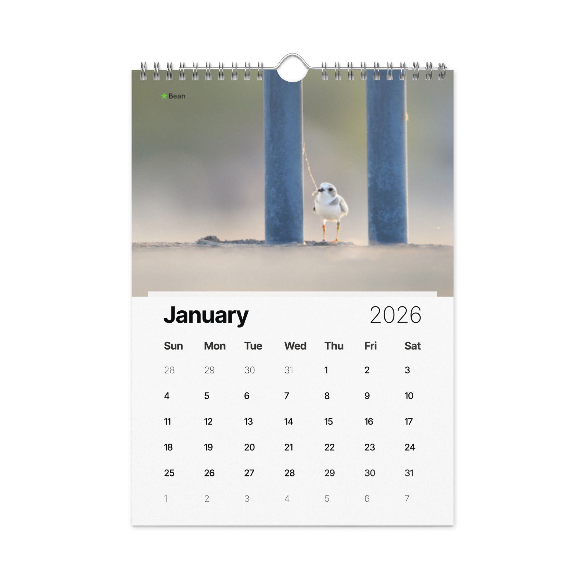 wall-calendar-(2026)-start-w-sun-8.26x11.69-front-69266d803e667.jpg