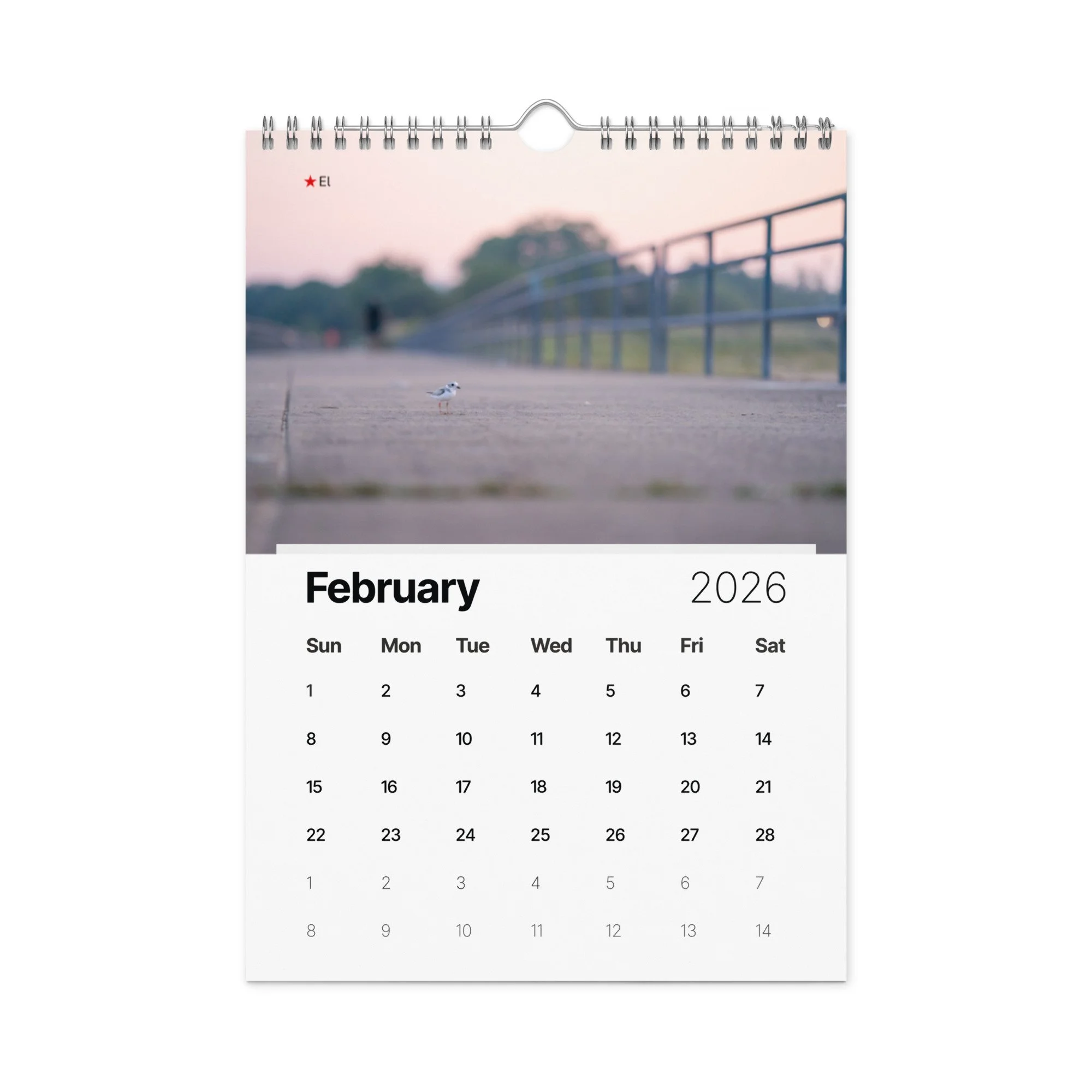 wall-calendar-(2026)-start-w-sun-8.26x11.69-front-69266d803e815.jpg