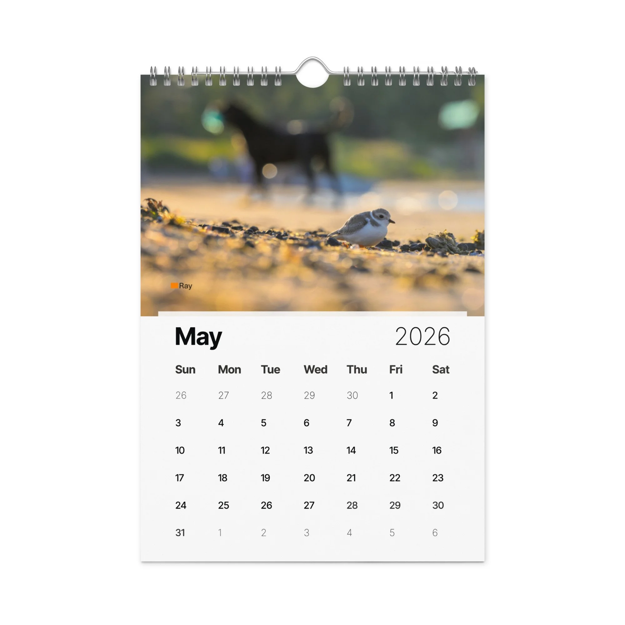 wall-calendar-(2026)-start-w-sun-8.26x11.69-front-69266d803eb44.jpg