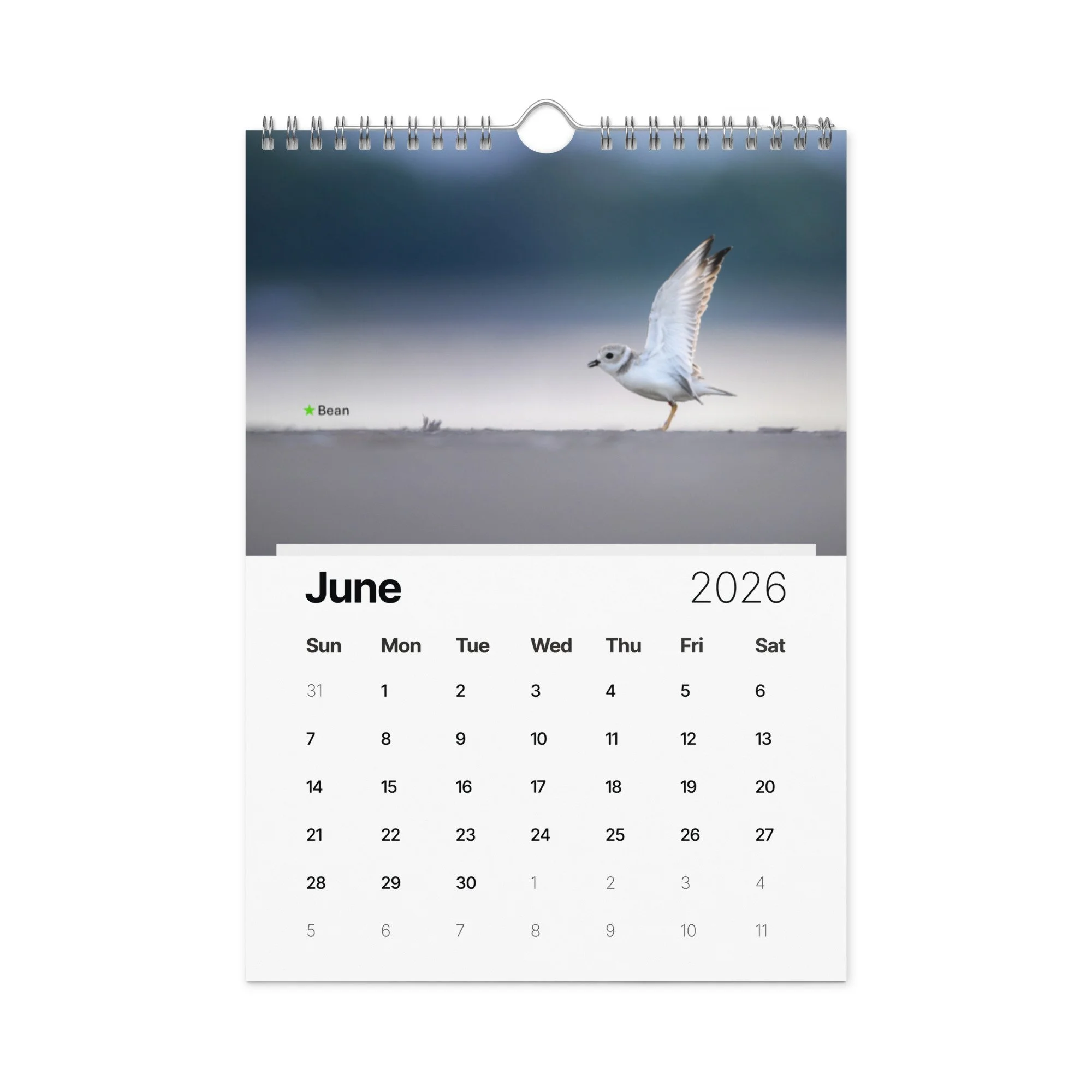 wall-calendar-(2026)-start-w-sun-8.26x11.69-front-69266d803ec49.jpg