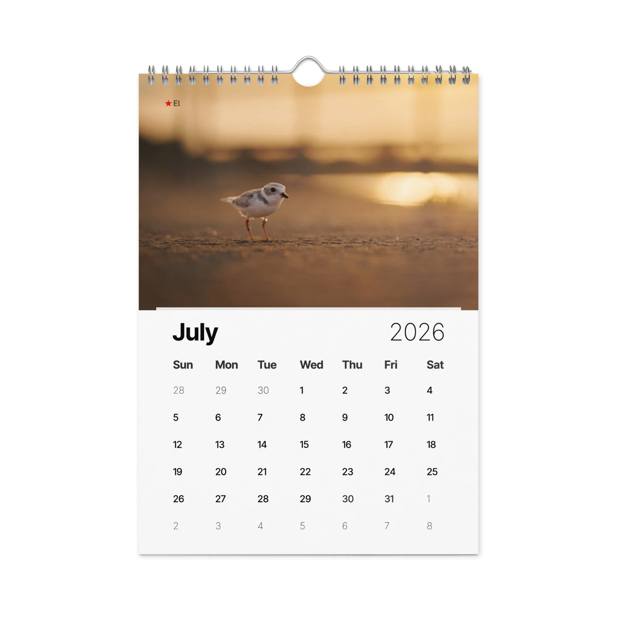 wall-calendar-(2026)-start-w-sun-8.26x11.69-front-69266d803ed9c.jpg