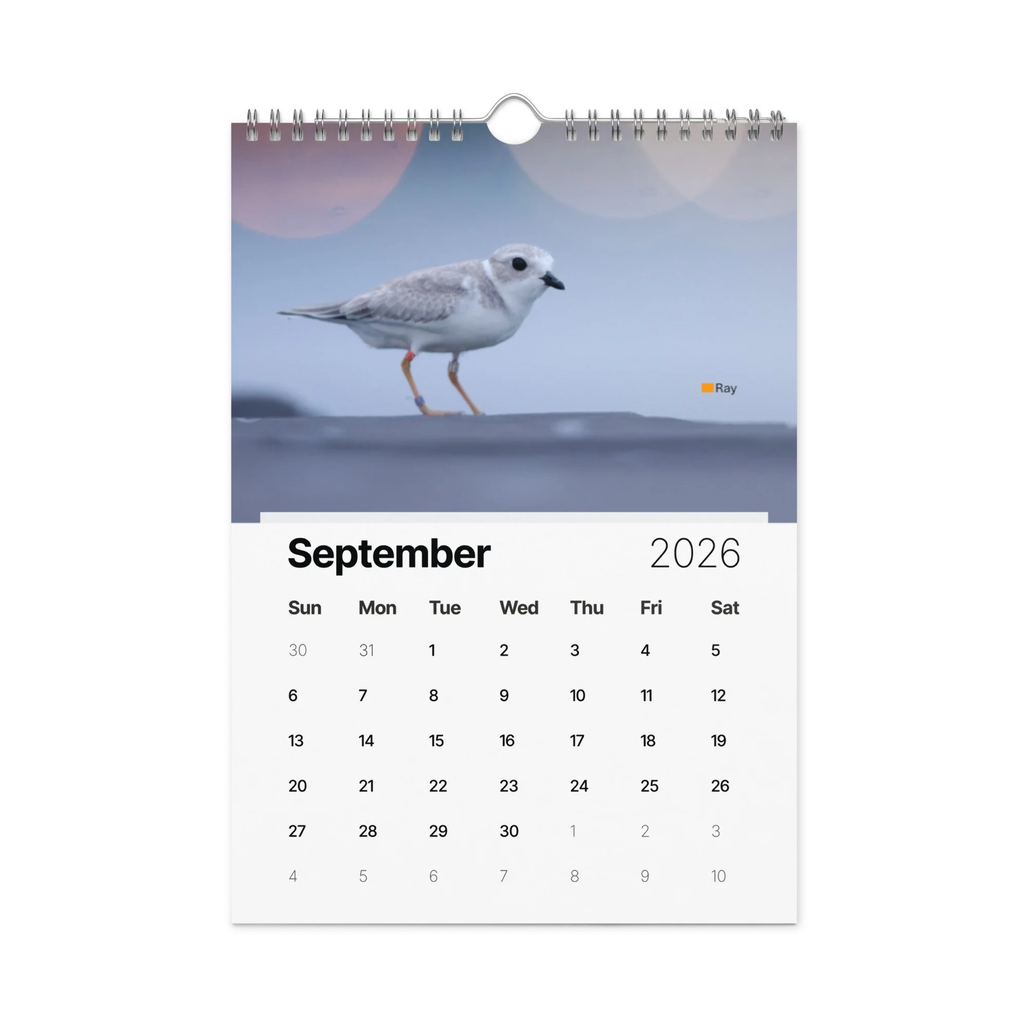 wall-calendar-(2026)-start-w-sun-8.26x11.69-front-69266d803f14f.jpg