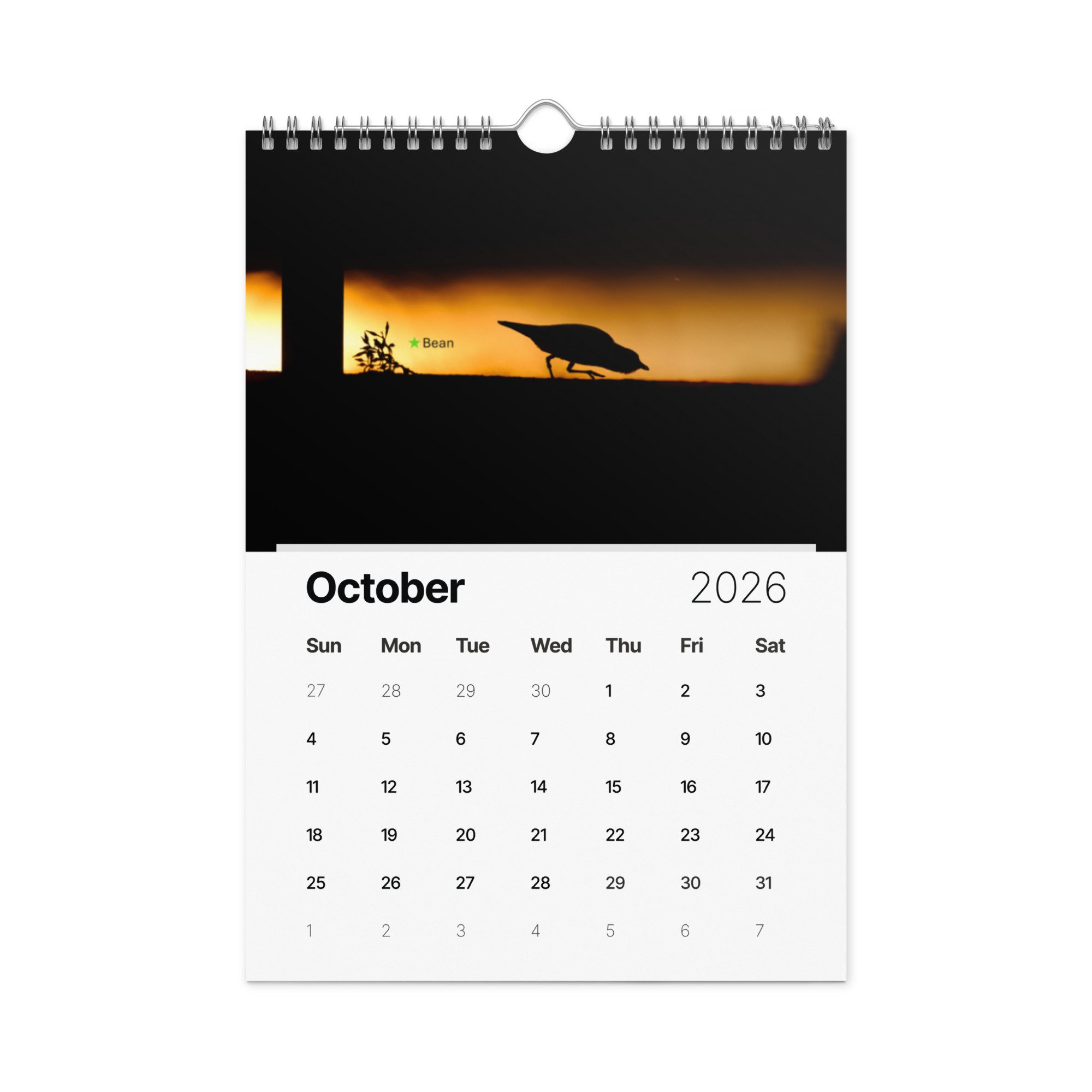 wall-calendar-(2026)-start-w-sun-8.26x11.69-front-69266d803f345.jpg