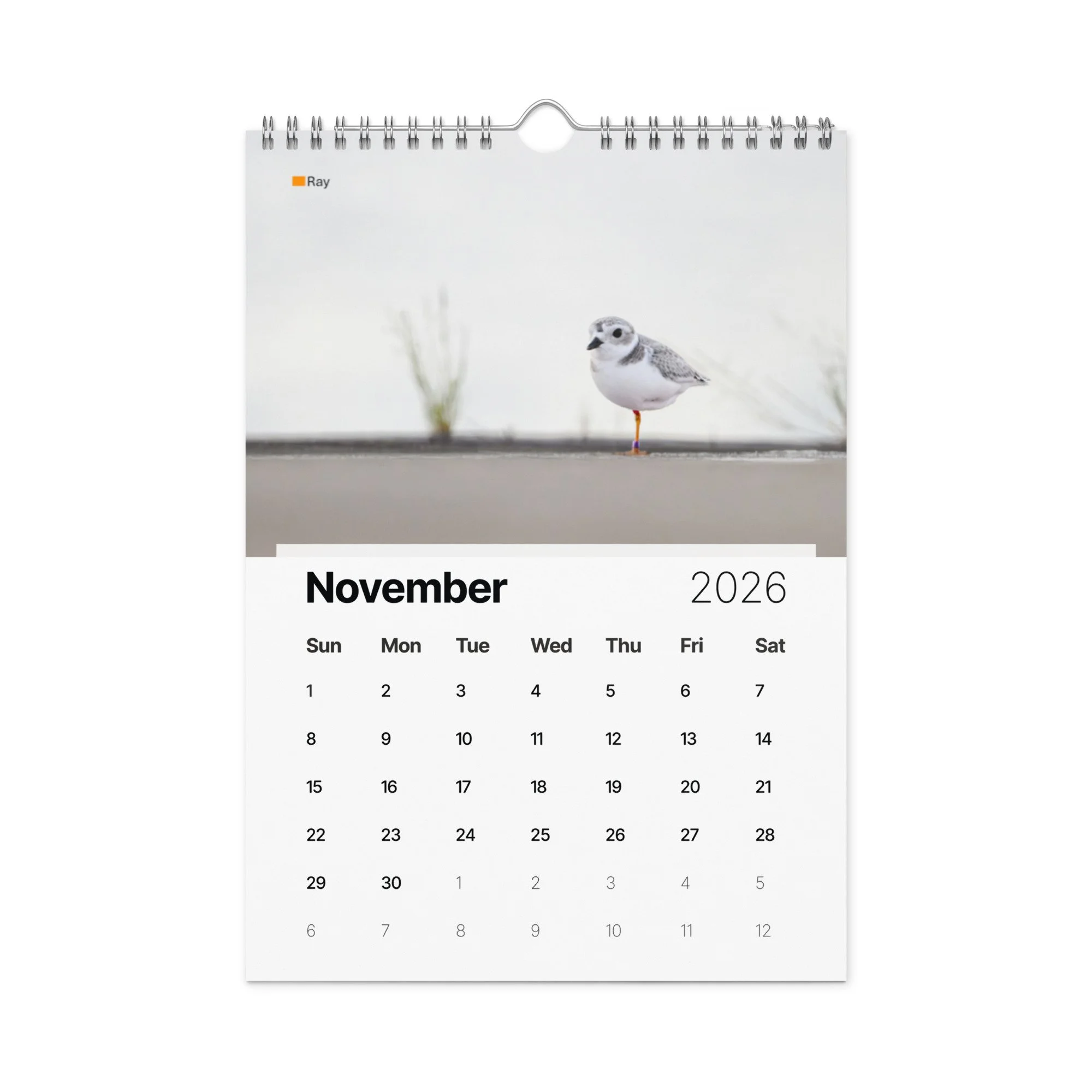 wall-calendar-(2026)-start-w-sun-8.26x11.69-front-69266d803f539.jpg