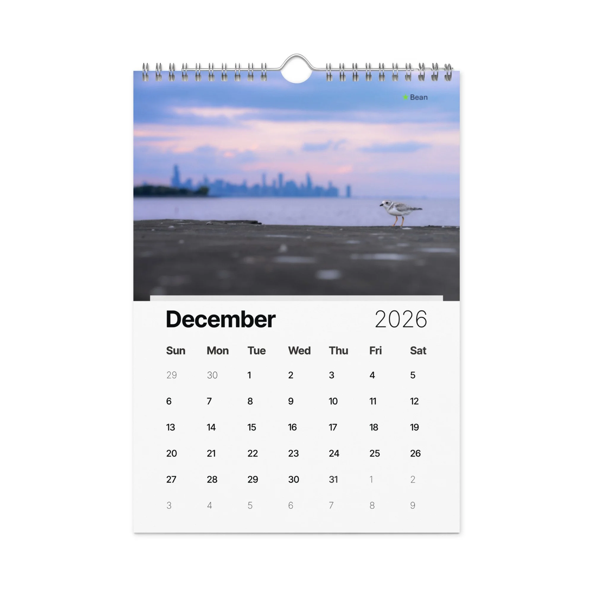 wall-calendar-(2026)-start-w-sun-8.26x11.69-front-69266d803f739.jpg