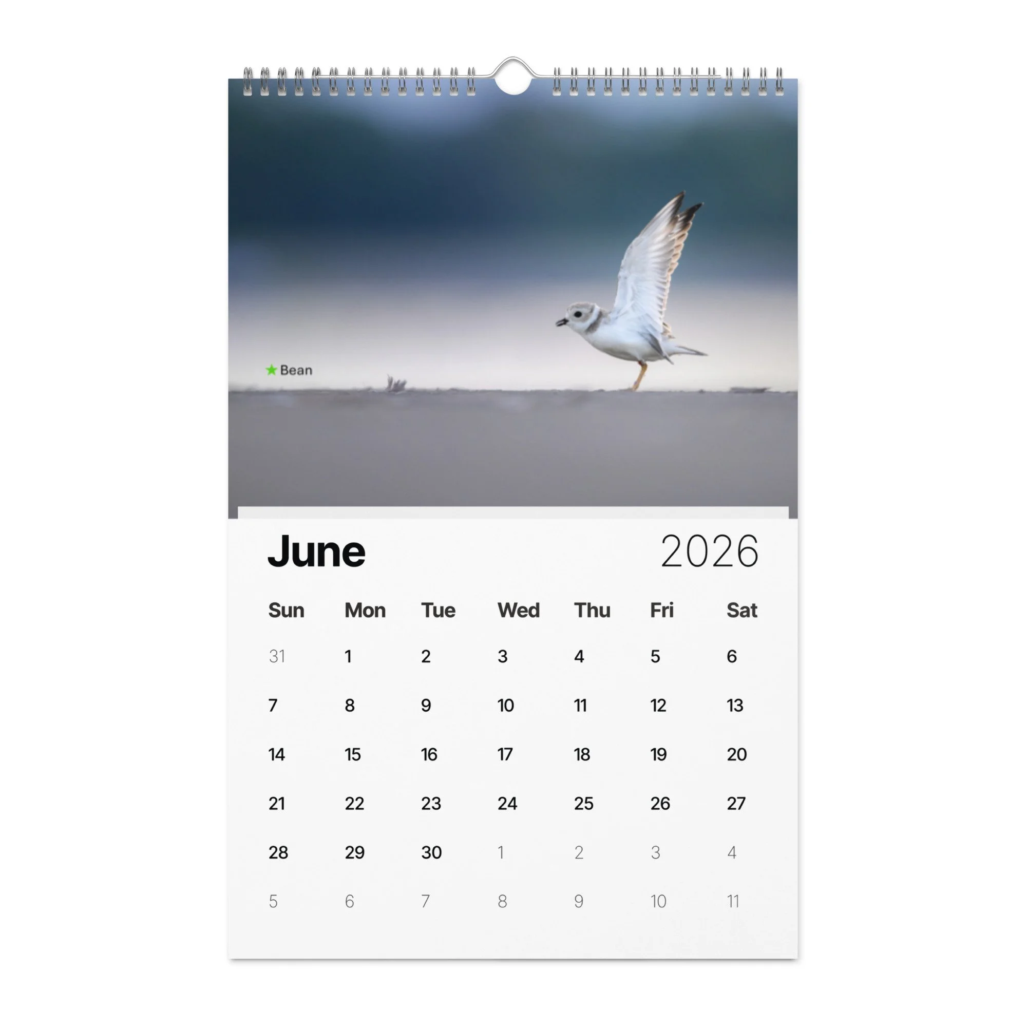 wall-calendar-(2026)-start-w-sun-11x17-front-69266d804044a.jpg